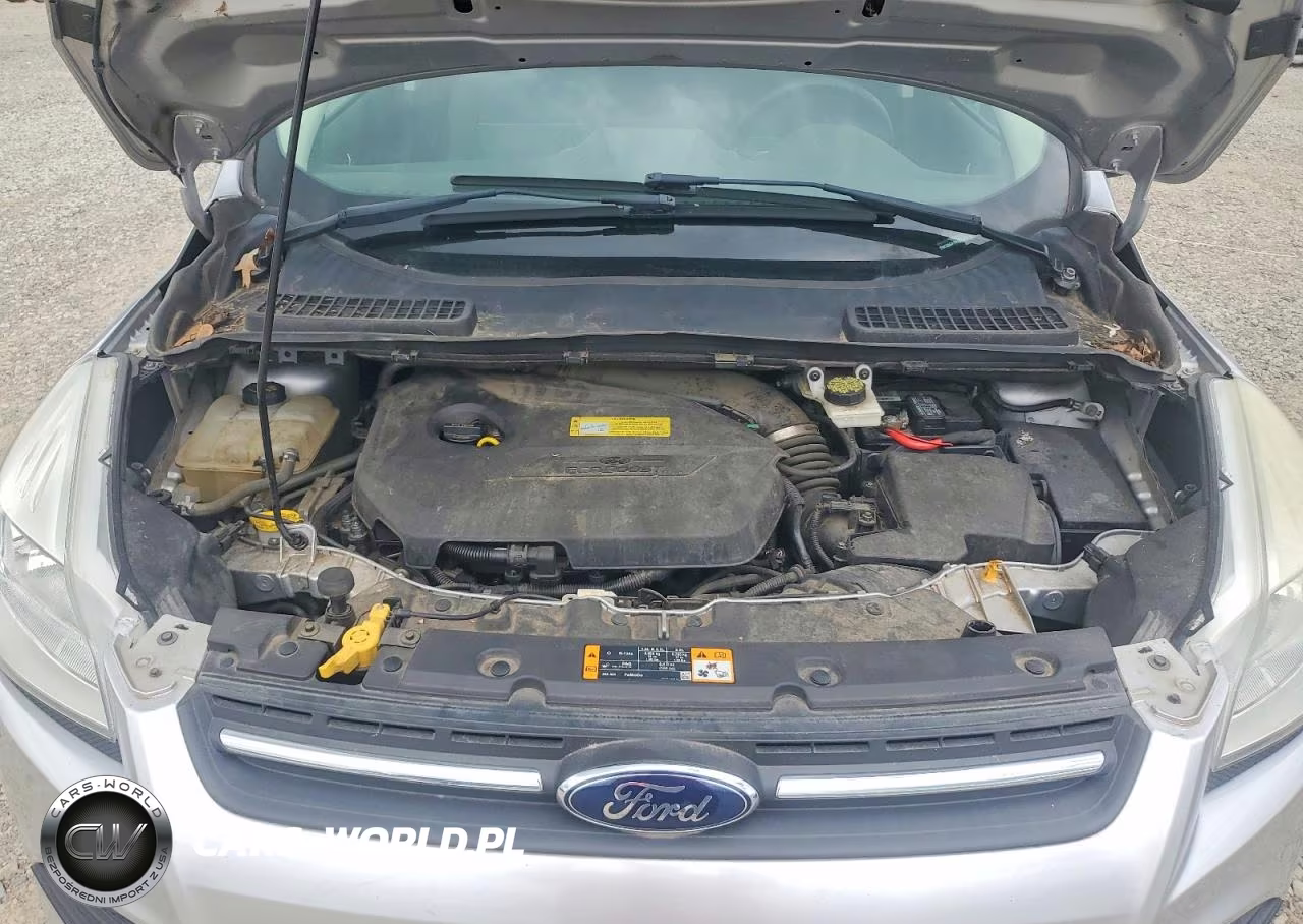 2013 Ford Escape Se VIN:1FMCU0GX1DUC31469 - 12