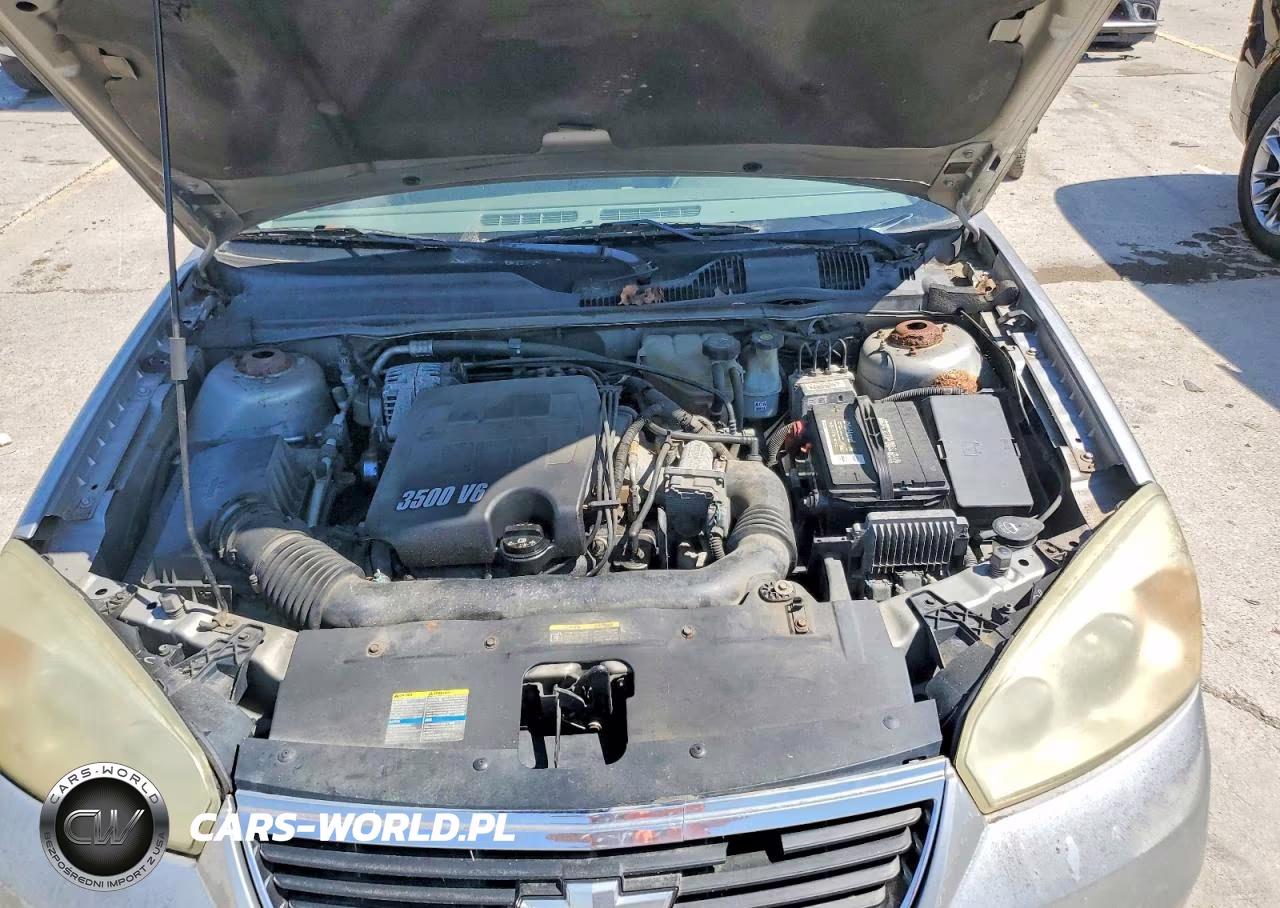 2006 Chev Malibu VIN:1G1ZT51826F119313 - 11