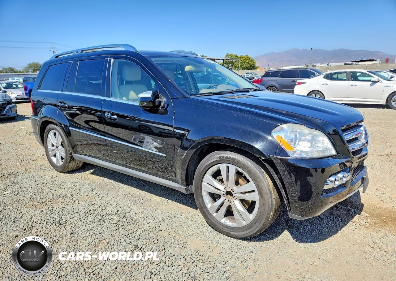 2010 Mercedes-Benz Gl 350 Bluetec VIN:4JGBF2FB0AA532562 - 4