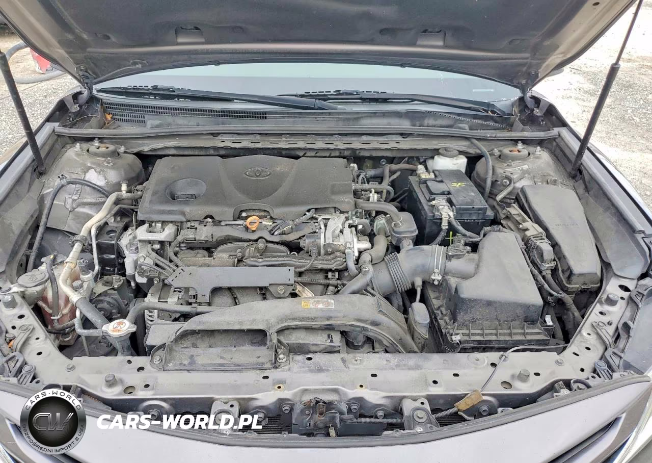 2019 Toyota Camry Se VIN:4T1B11HK2KU230910 - 11