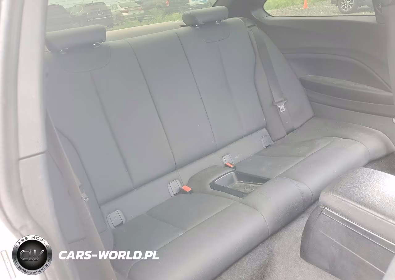 2018 BMW 230I VIN:WBA2J1C58JVD08895 - 10