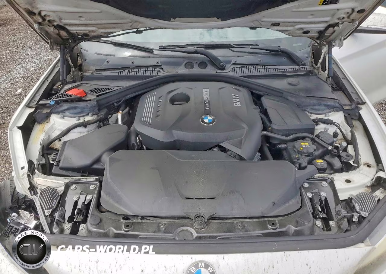 2018 BMW 230I VIN:WBA2J1C58JVD08895 - 11