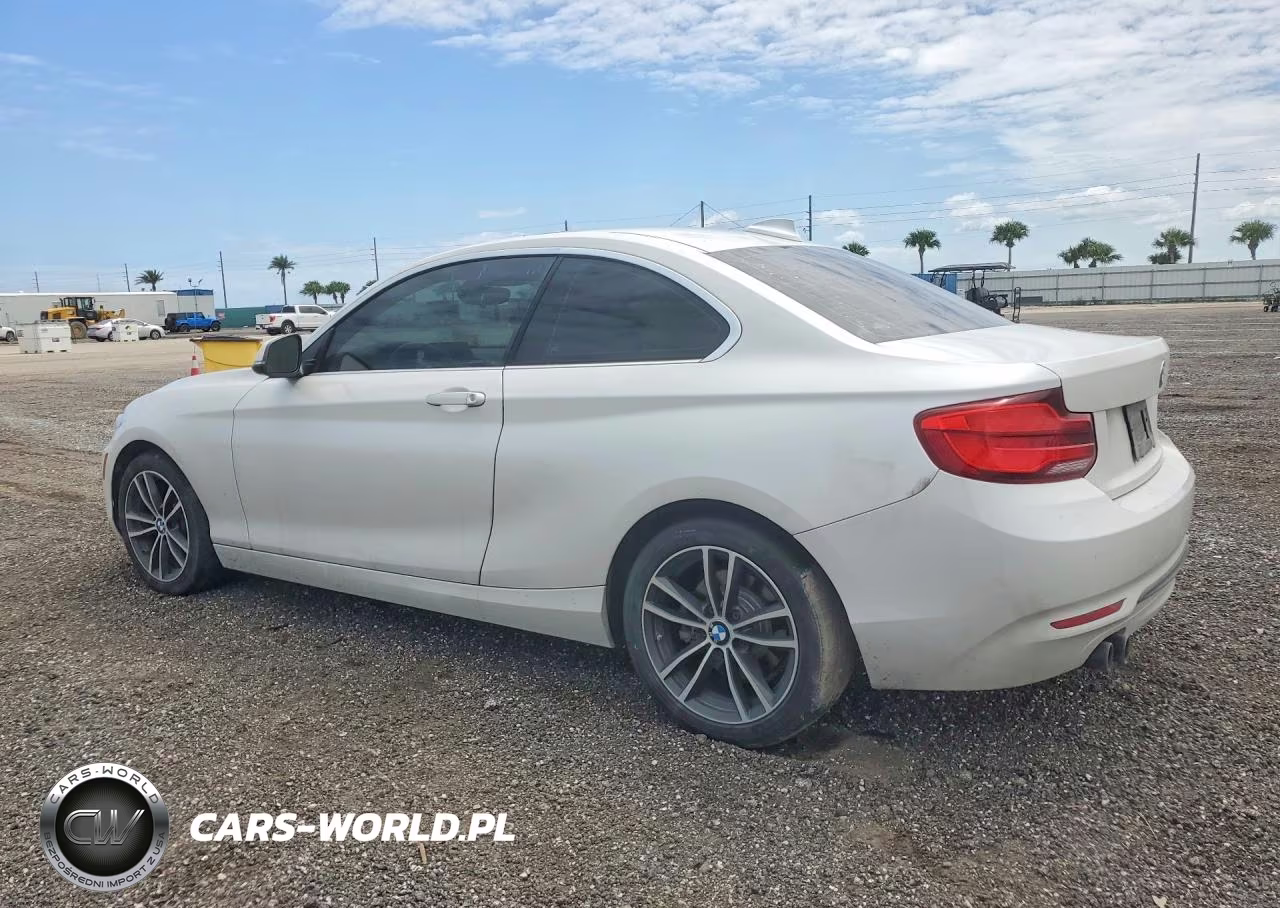 2018 BMW 230I VIN:WBA2J1C58JVD08895 - 2