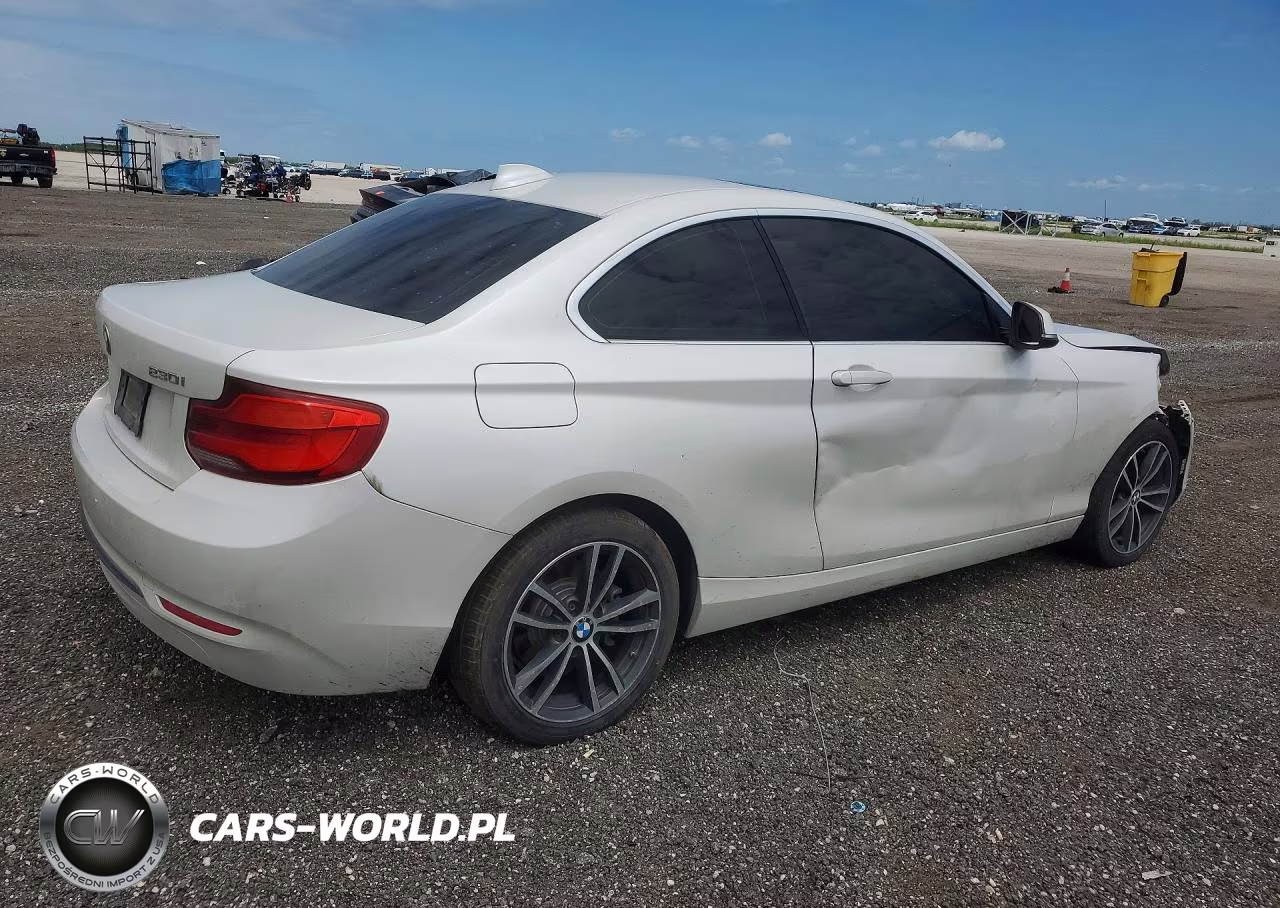 2018 BMW 230I VIN:WBA2J1C58JVD08895 - 3
