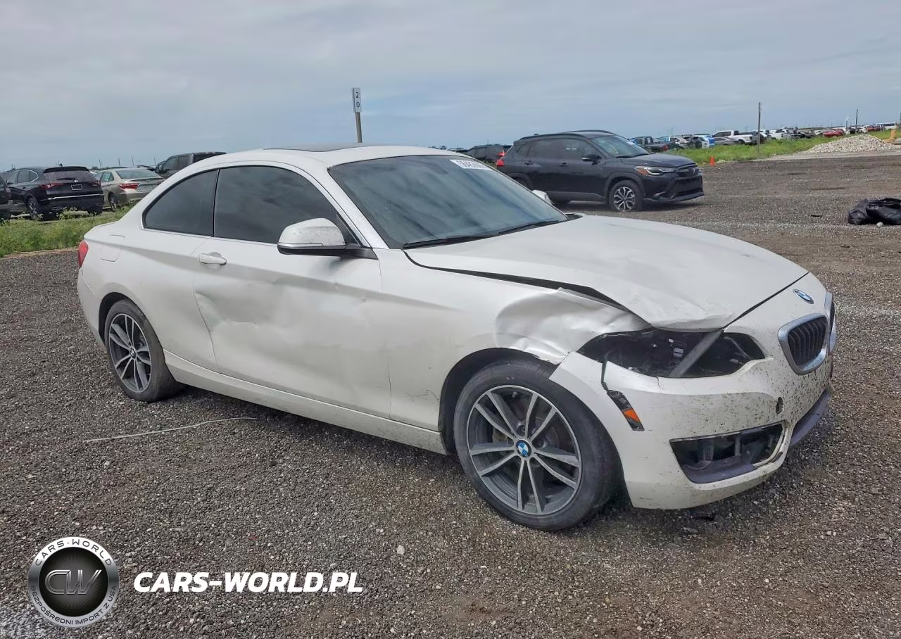2018 BMW 230I VIN:WBA2J1C58JVD08895 - 4