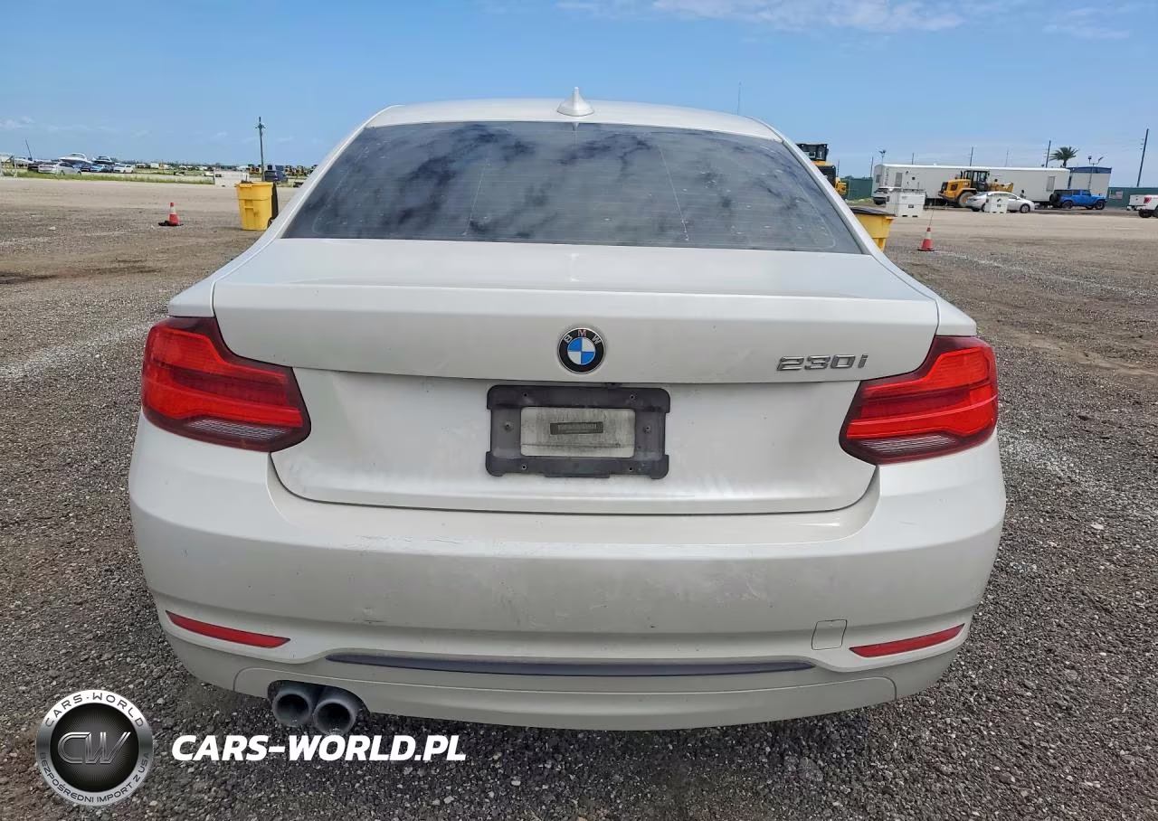 2018 BMW 230I VIN:WBA2J1C58JVD08895 - 6