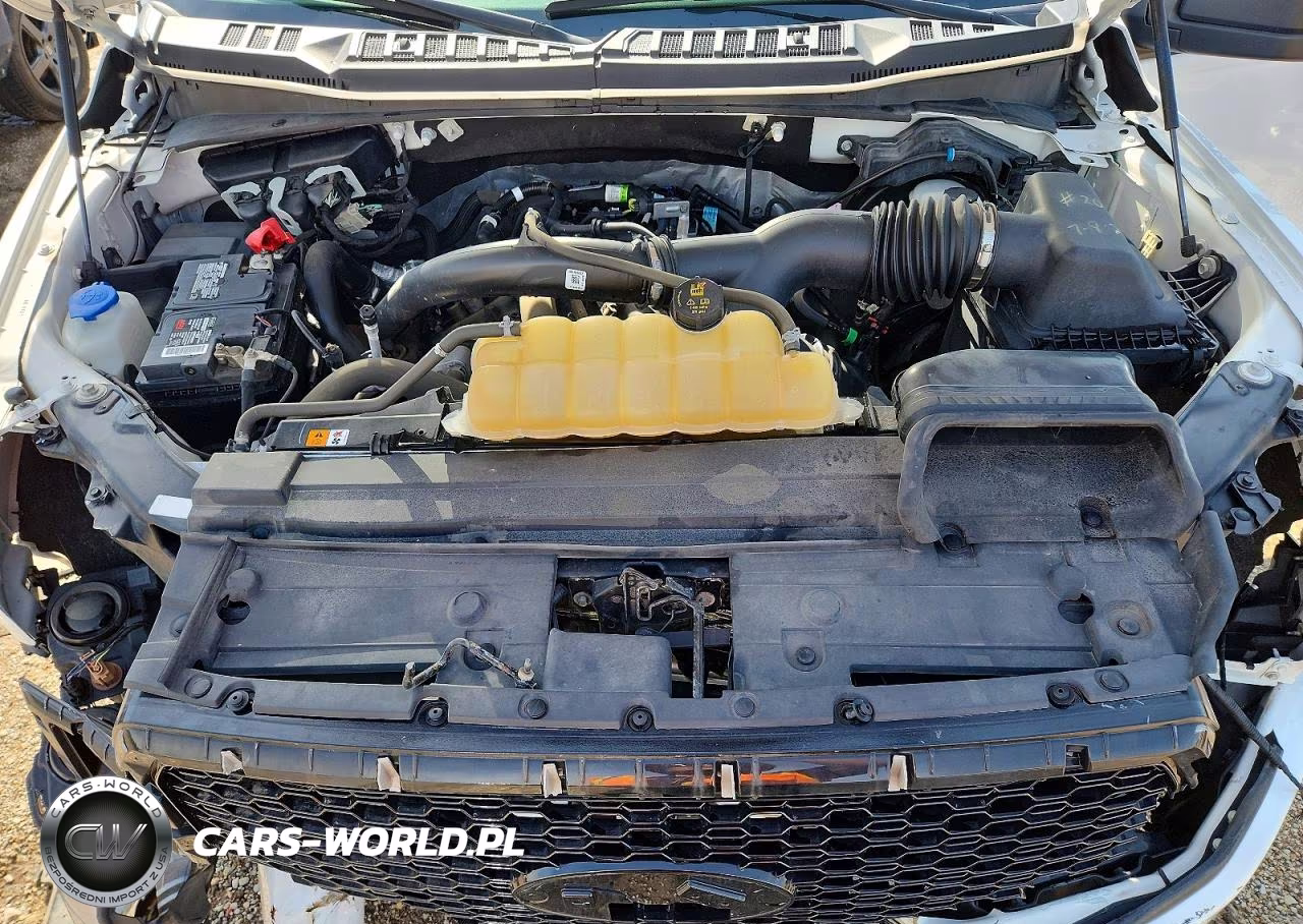 2020 Ford F150 Supercrew VIN:1FTEW1EP0LKE18227 - 11