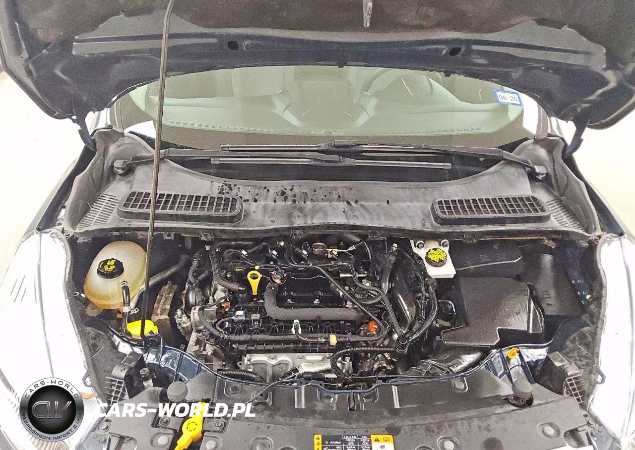 2019 Ford Escape Se VIN:1FMCU0GD4KUC34420 - 12