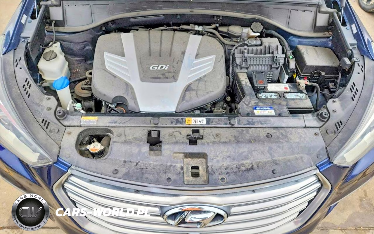 2017 Hyundai Santa Fe Limited Ultimate VIN:KM8SRDHF9HU167200 - 12