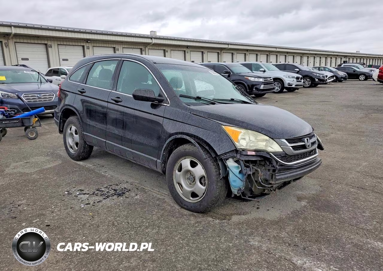 2010 Honda Cr-V Lx VIN:5J6RE4H39AL085493 - 4