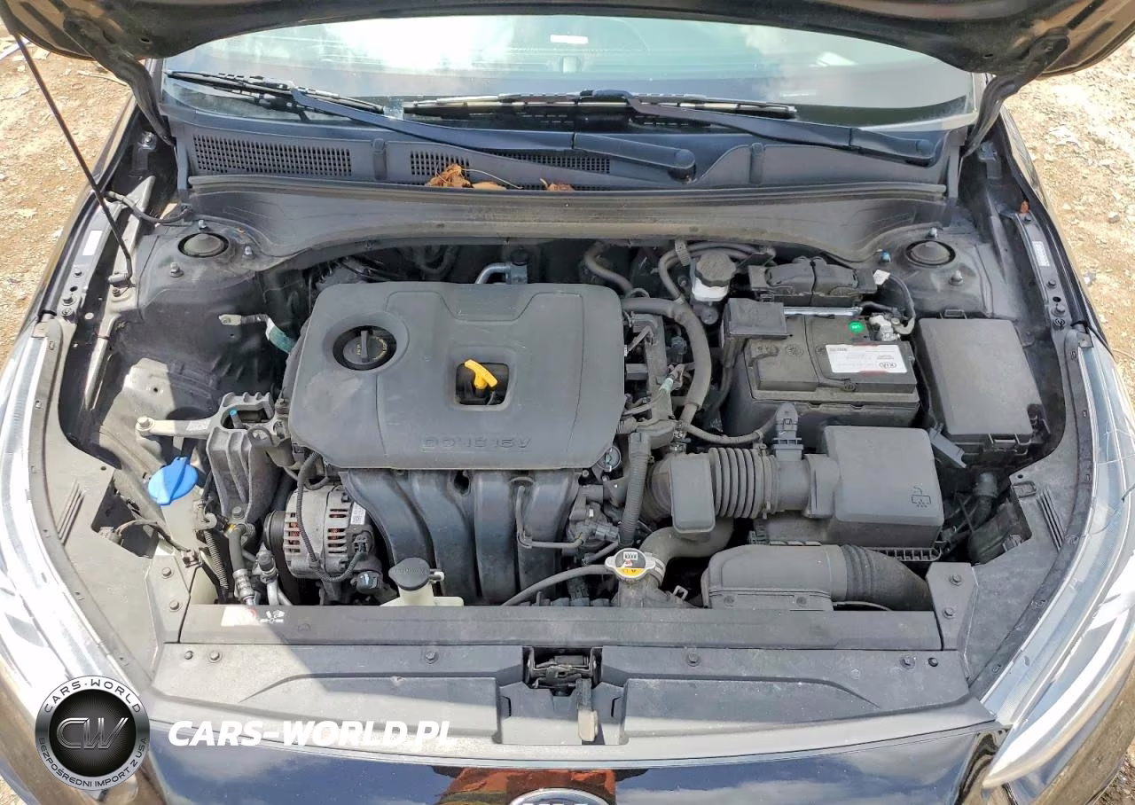 2020 Kia Forte Gt Line VIN:3KPF34AD9LE219609 - 11