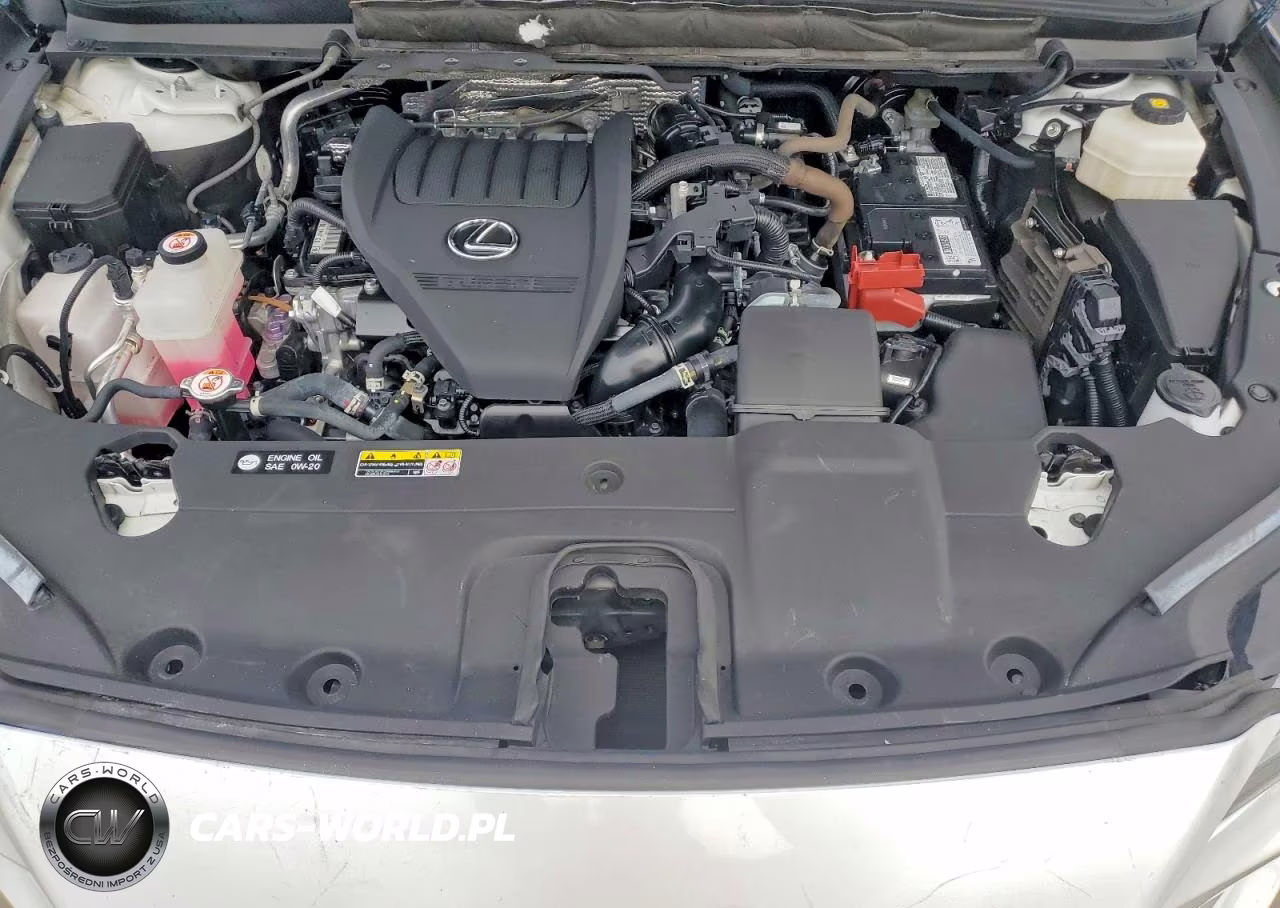 2023 Lexus Rx 350 Premium VIN:2T2BAMBA5PC005337 - 12