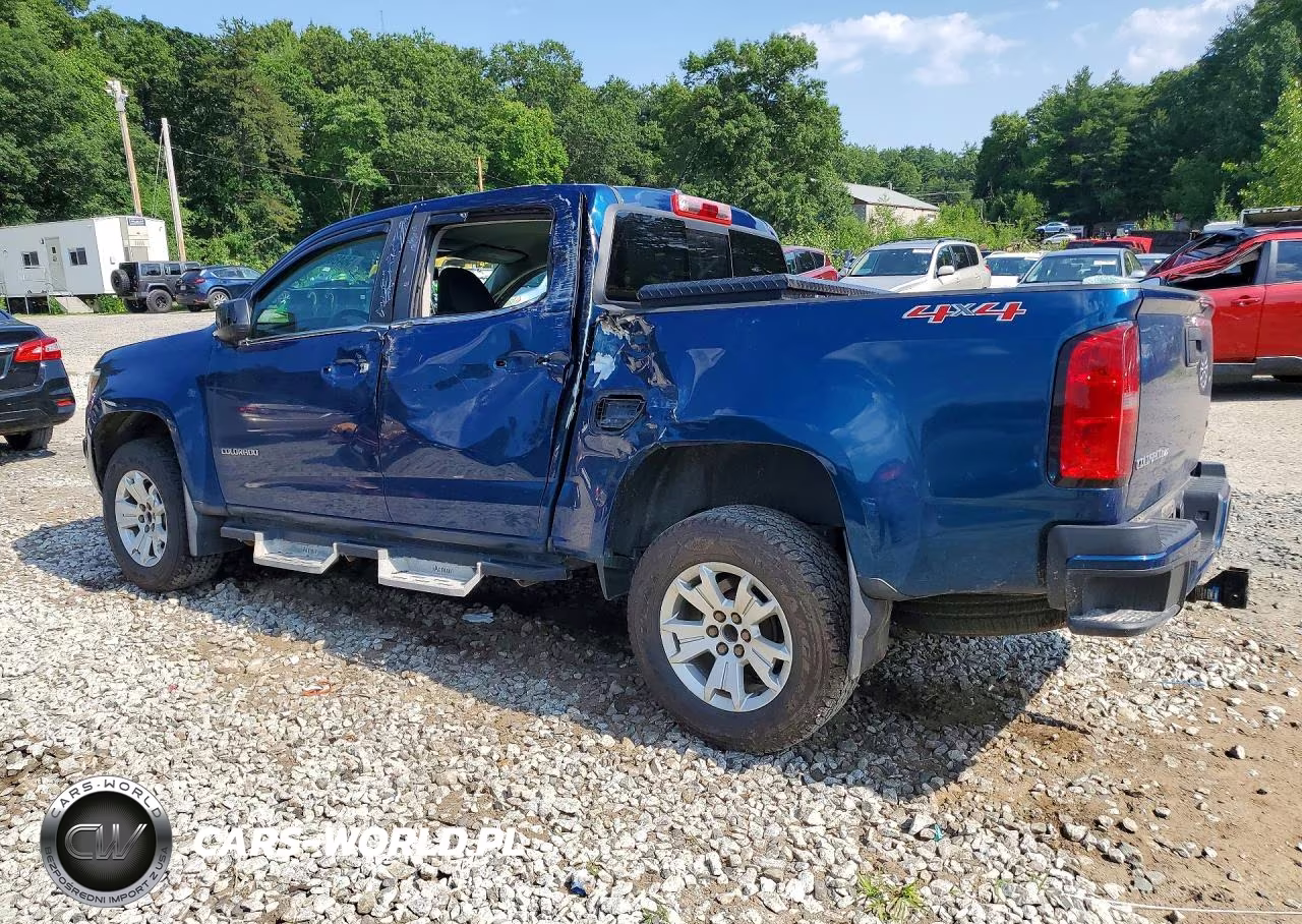 2019 Chevrolet Colorado Lt VIN:1GCGTCEN6K1334493 - 2