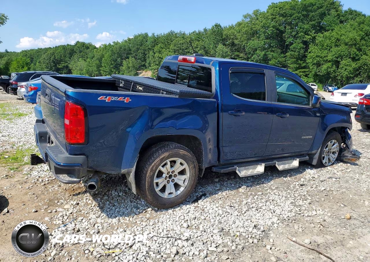 2019 Chevrolet Colorado Lt VIN:1GCGTCEN6K1334493 - 3