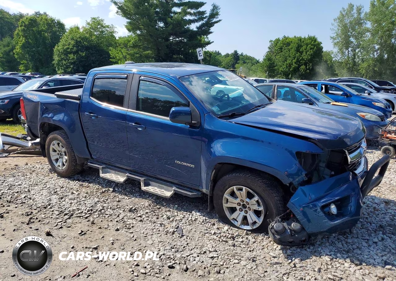2019 Chevrolet Colorado Lt VIN:1GCGTCEN6K1334493 - 4