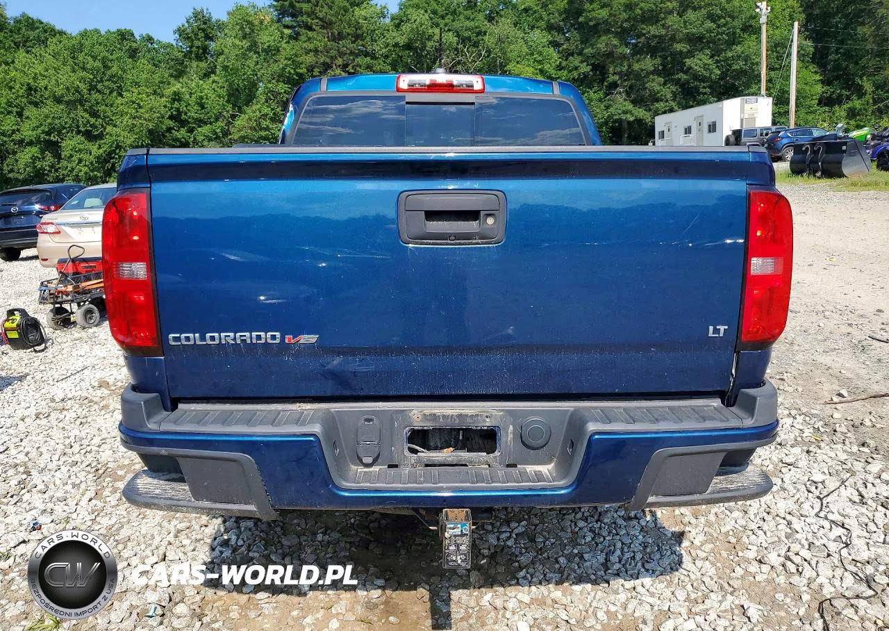 2019 Chevrolet Colorado Lt VIN:1GCGTCEN6K1334493 - 6