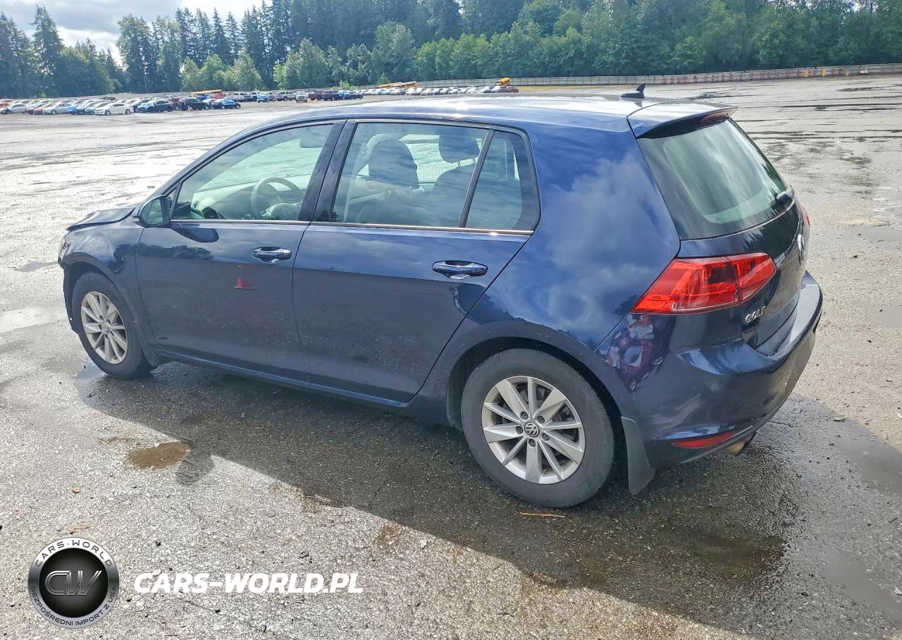 2015 Volkswagen Golf VIN:3VW217AU0FM024656 - 2