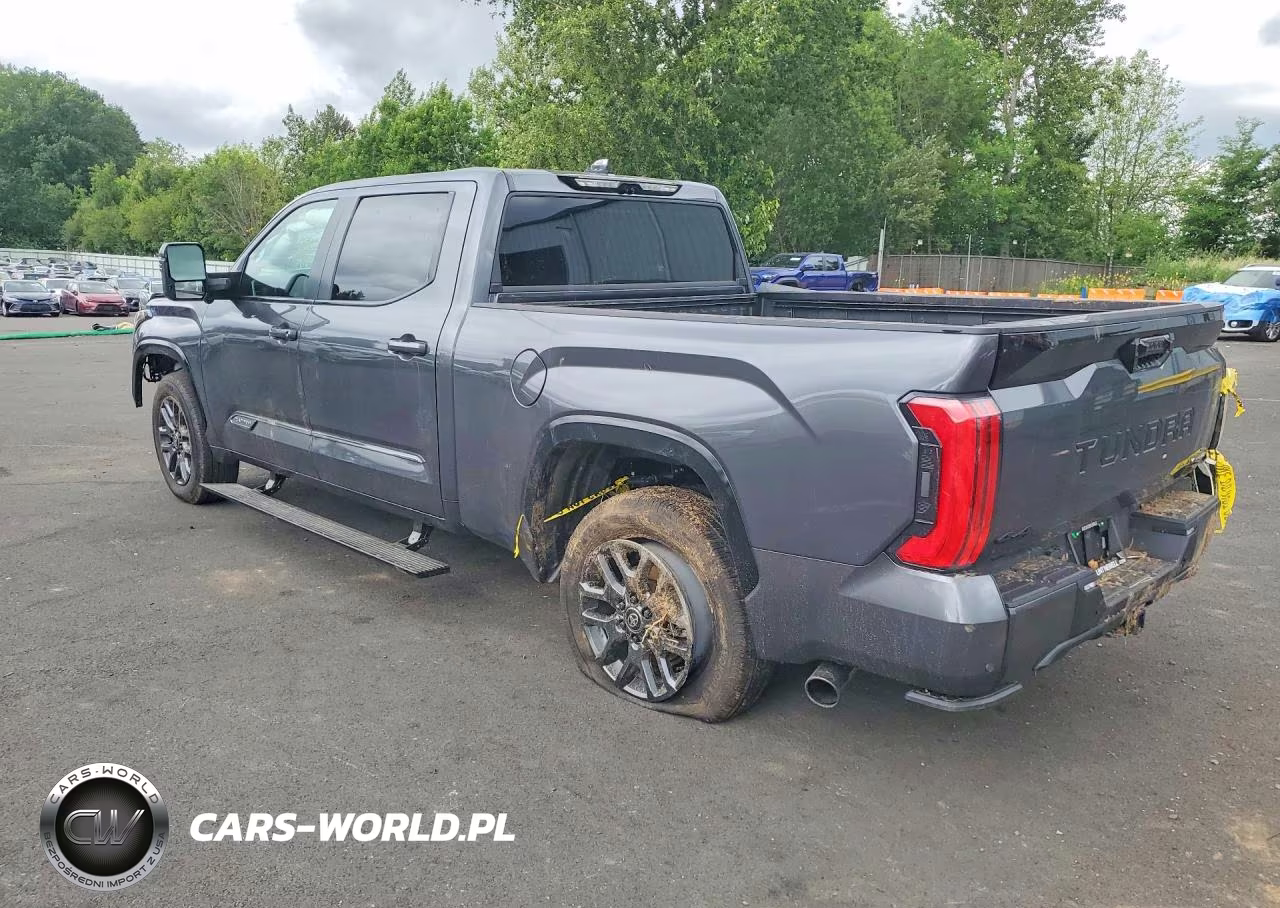 2026 Toyota Tundra Platinum Hv VIN:5TFNC5EC2TX011204 - 2
