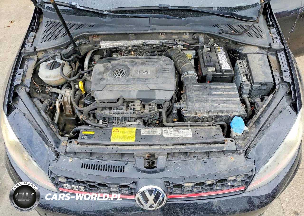 2015 Volkswagen Gti VIN:3VW4T7AU3FM000614 - 11