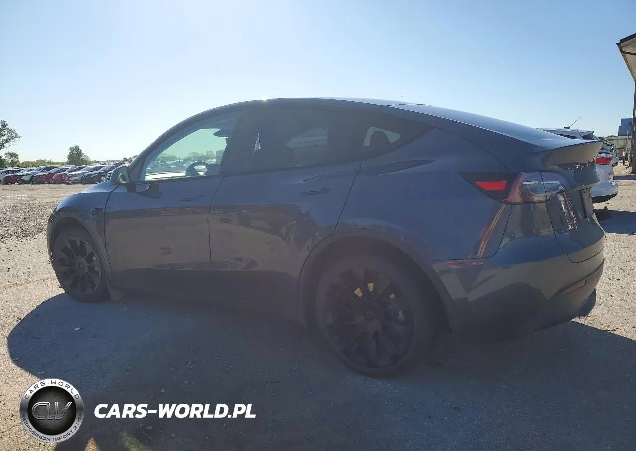 2023 Tesla Model Y VIN:7SAYGDEE9PF877515 - 2