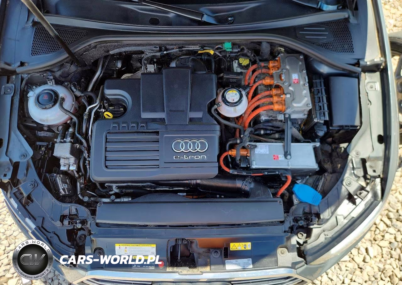 2018 Audi A3 E-Tron Prestige VIN:WAUSPBFF6JA057209 - 11