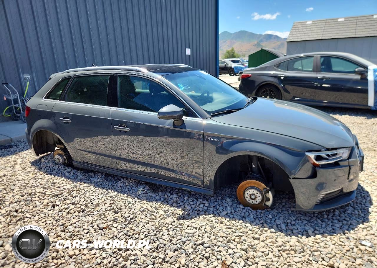 2018 Audi A3 E-Tron Prestige VIN:WAUSPBFF6JA057209 - 4