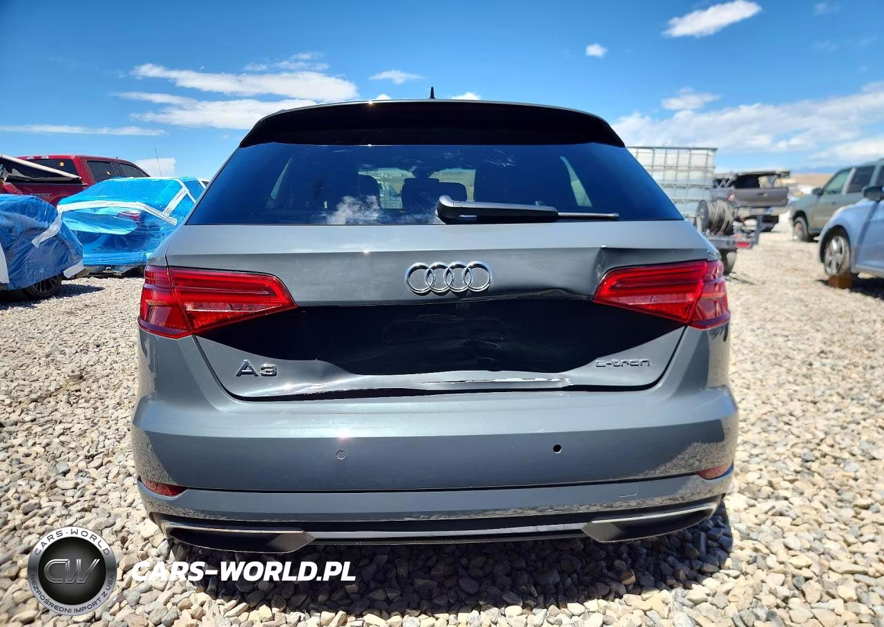2018 Audi A3 E-Tron Prestige VIN:WAUSPBFF6JA057209 - 6