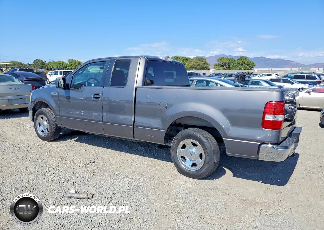 2005 Ford F150 VIN:1FTPX12505FA66769 - 2