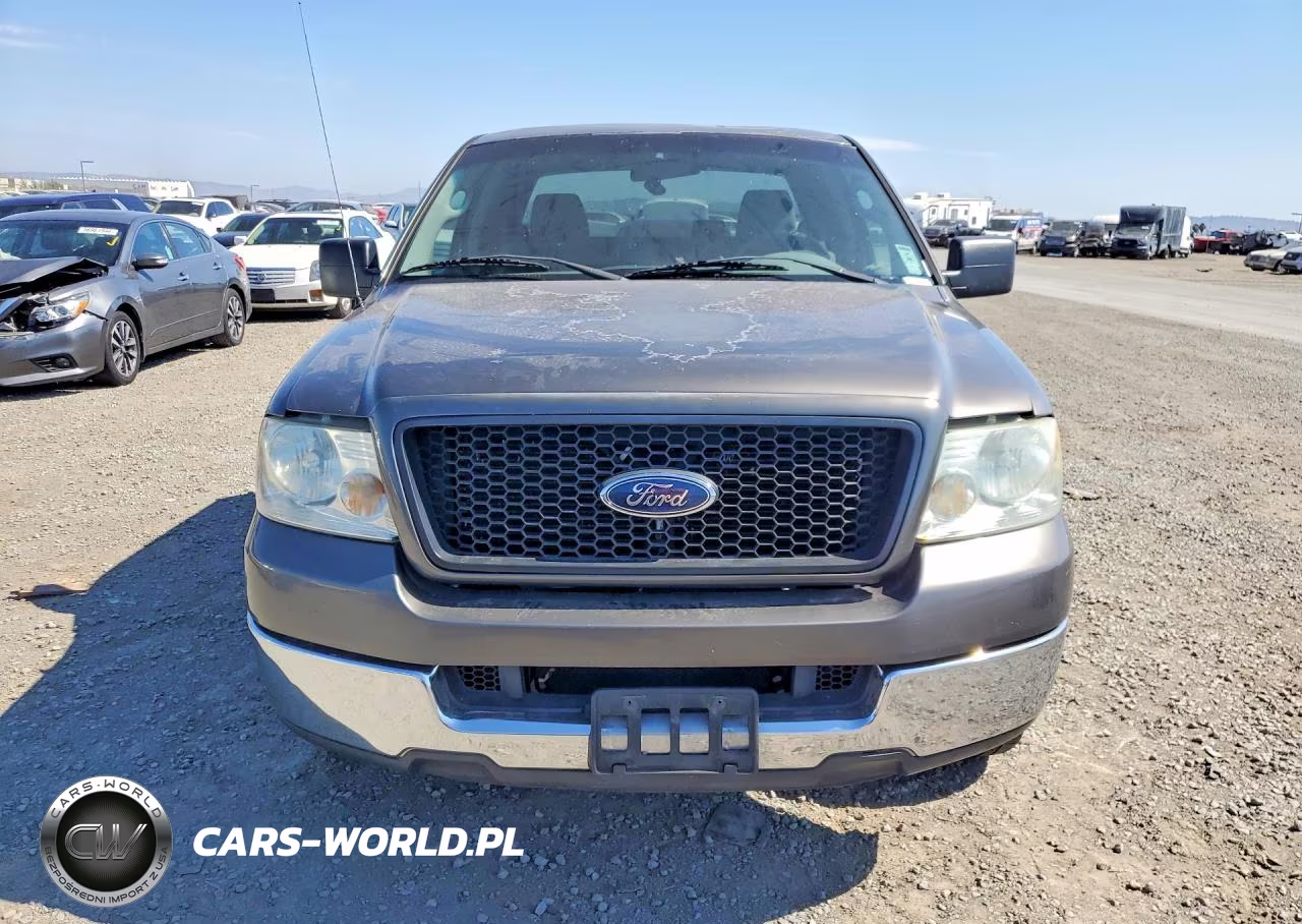 2005 Ford F150 VIN:1FTPX12505FA66769 - 5