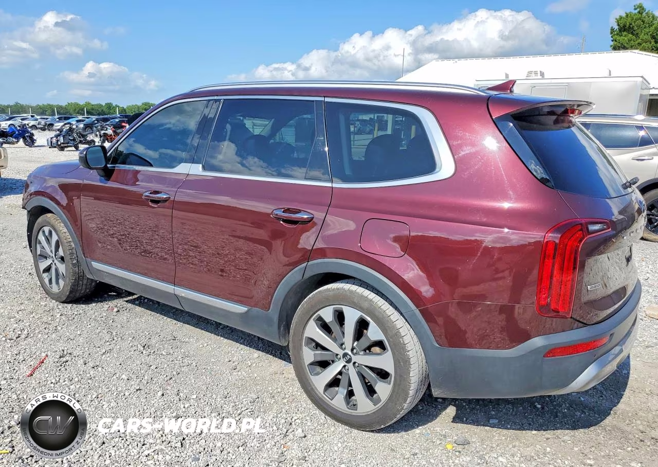 2020 Kia Telluride S VIN:5XYP6DHC9LG064622 - 2