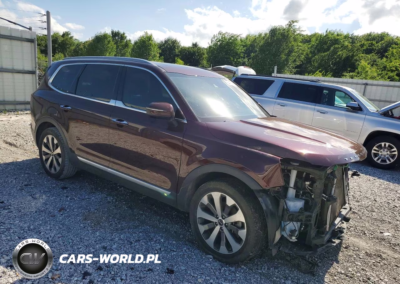 2020 Kia Telluride S VIN:5XYP6DHC9LG064622 - 4