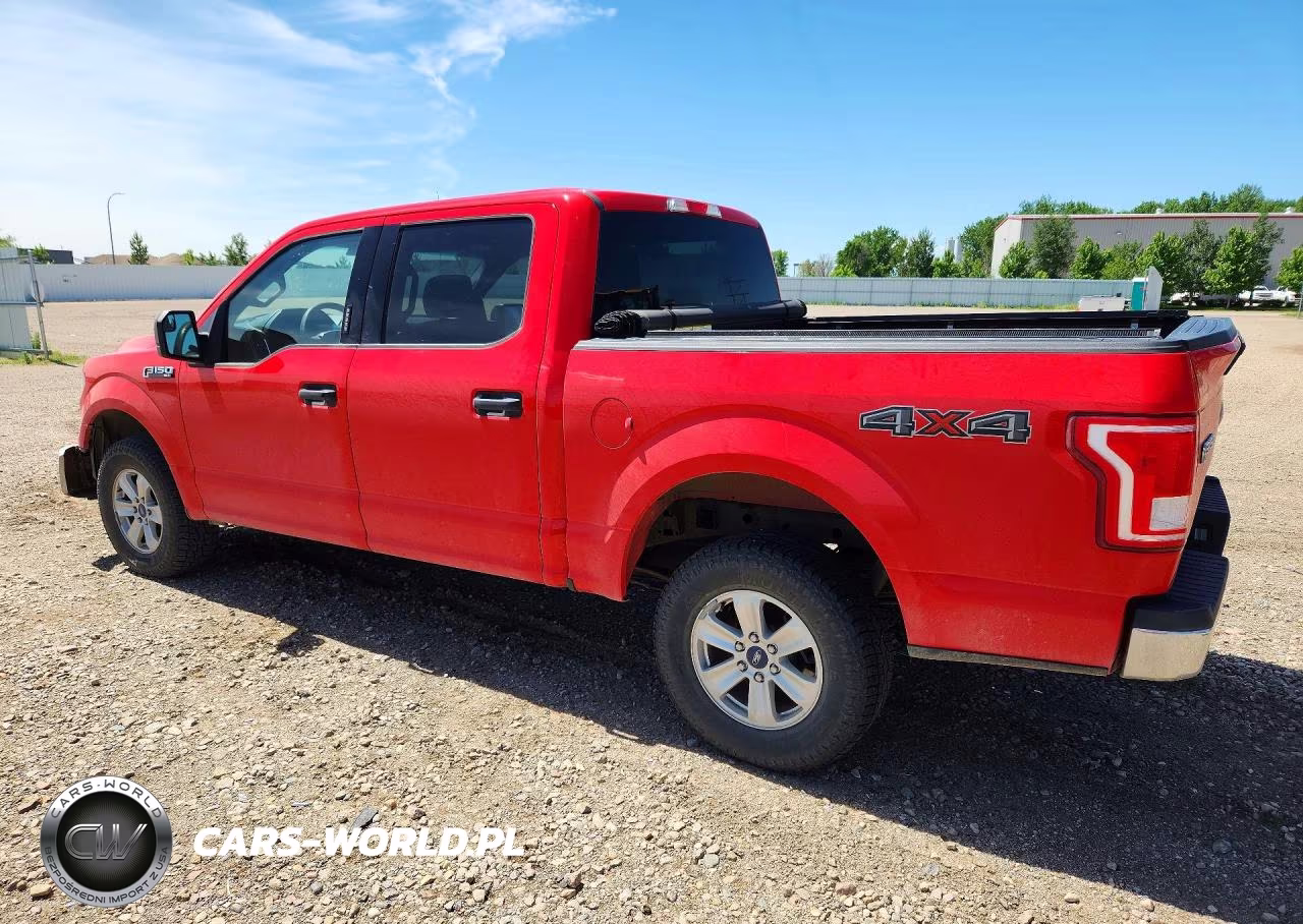 2016 Ford F150 Supercrew VIN:1FTEW1EF4GKD79428 - 2