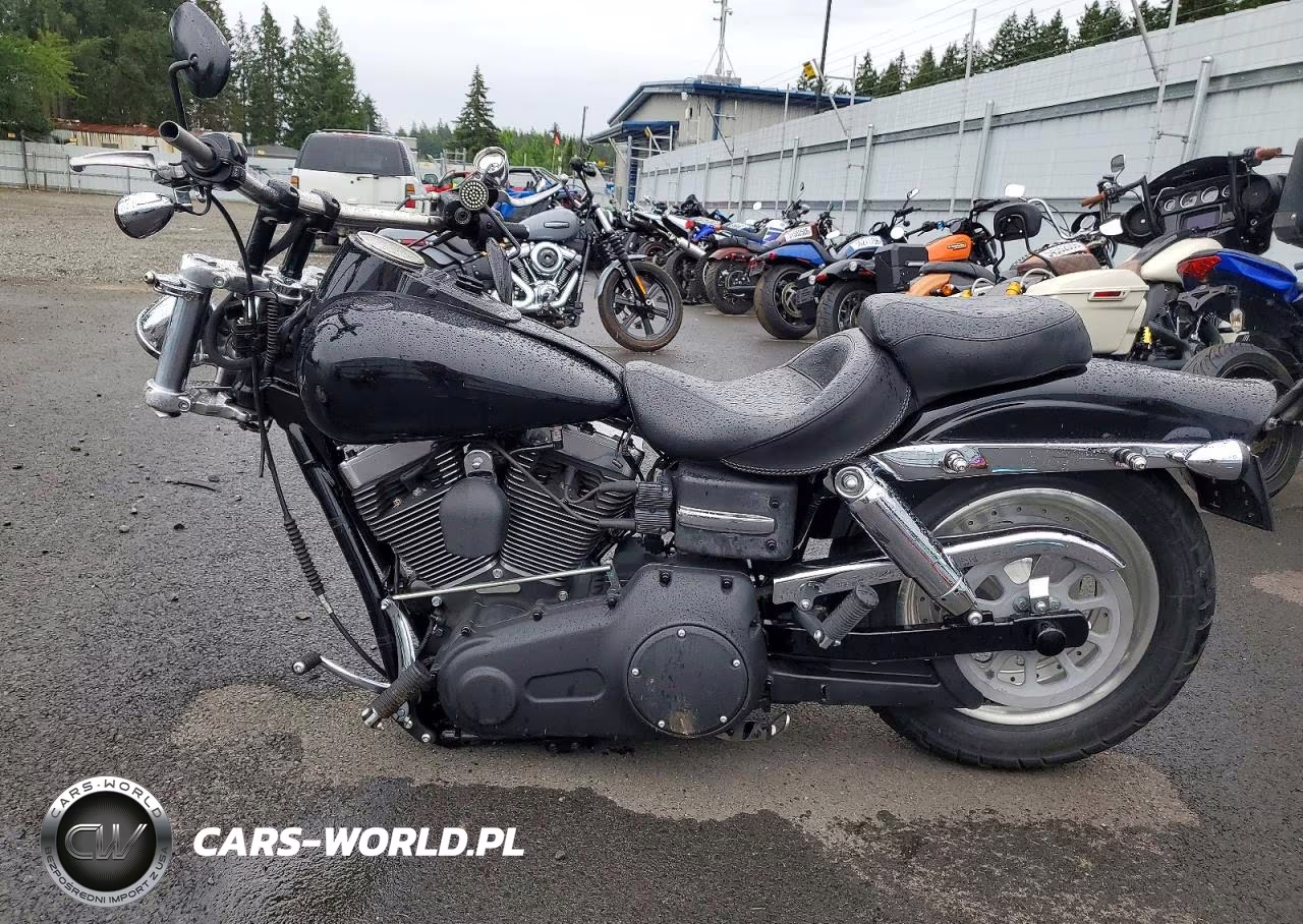 2011 Harley-Davidson Fxdf VIN:1HD1GY415BC304524 - 3
