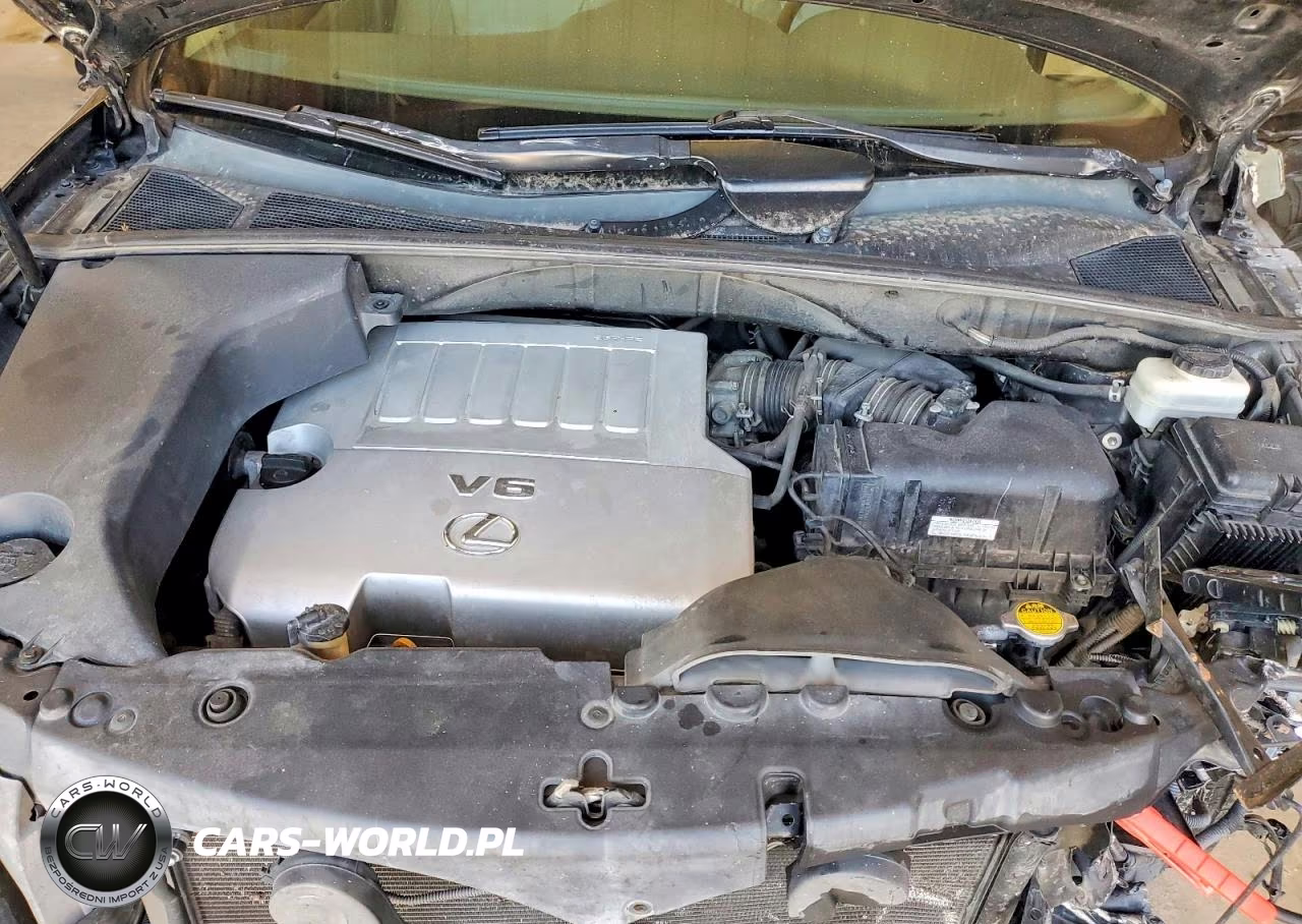 2009 Lexus Rx 350 VIN:2T2HK31U59C109486 - 12