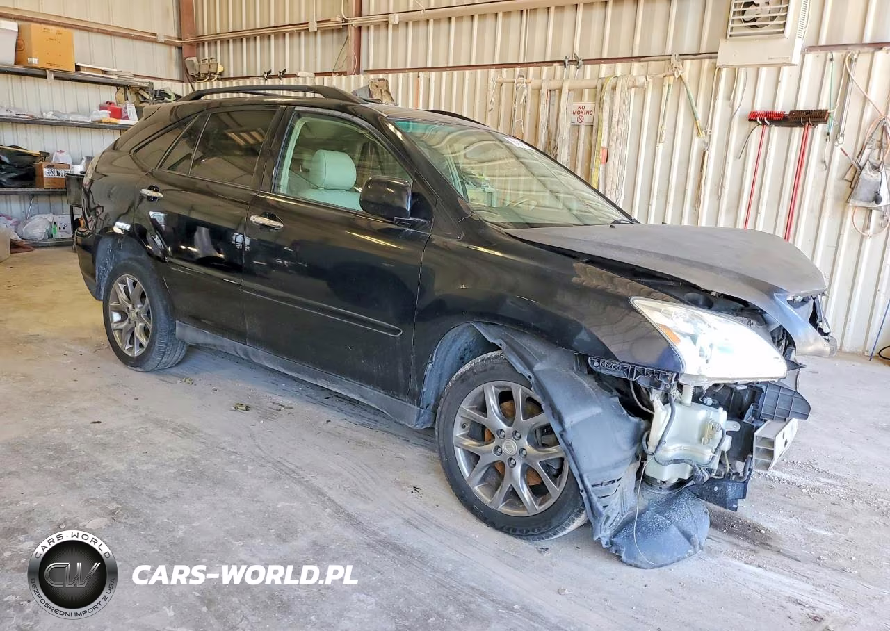 2009 Lexus Rx 350 VIN:2T2HK31U59C109486 - 4