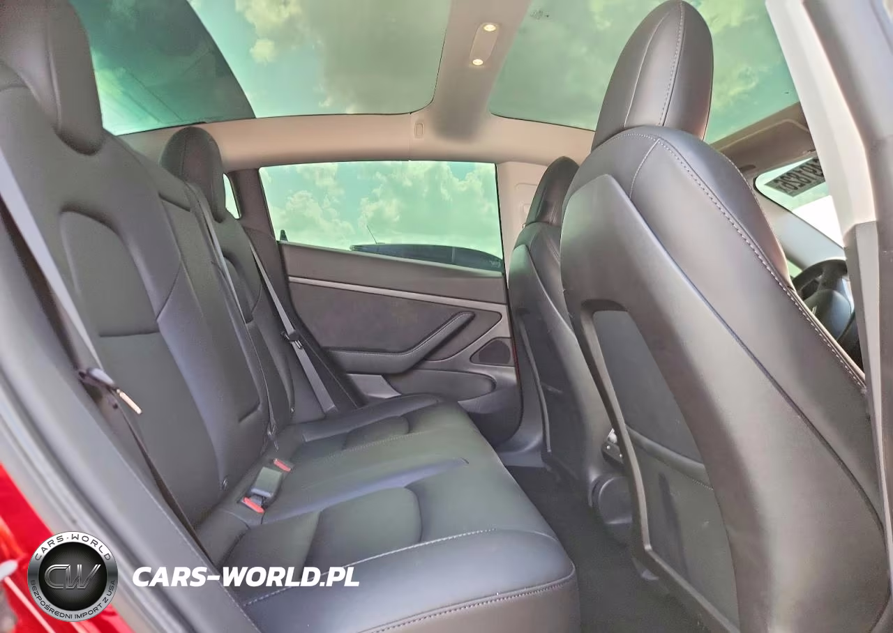 2020 Tesla Model 3 VIN:5YJ3E1EAXLF703570 - 10