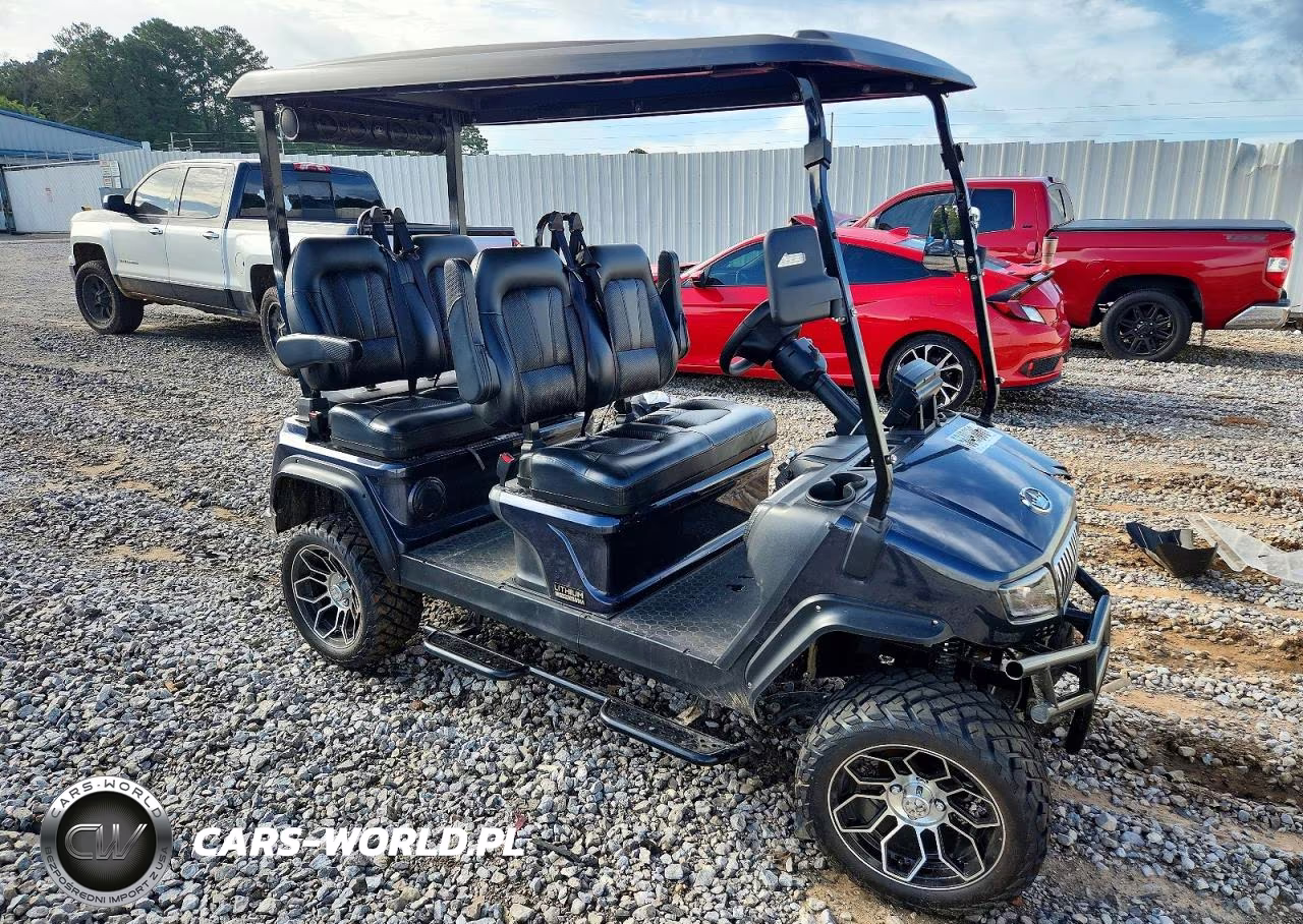 2024 Evolution Golf Cart – zdjęcie 1 z 10