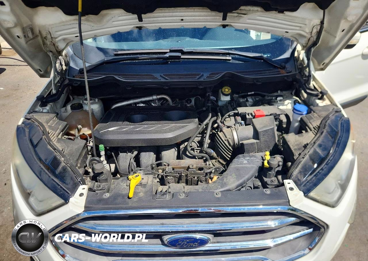 2019 Ford Ecosport Titanium VIN:MAJ6S3KL9KC281798 - 12