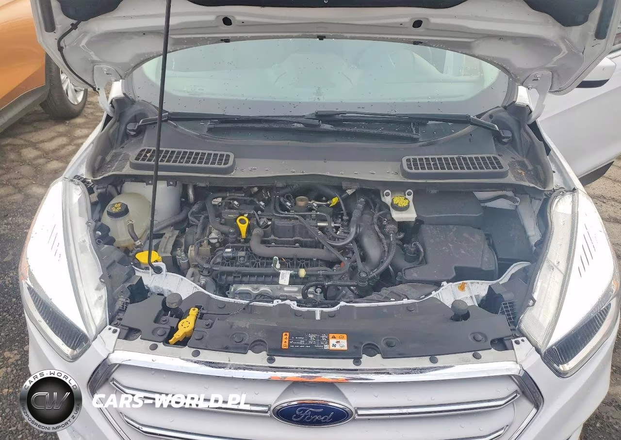 2019 Ford Escape Se VIN:1FMCU9GDXKUB24704 - 12