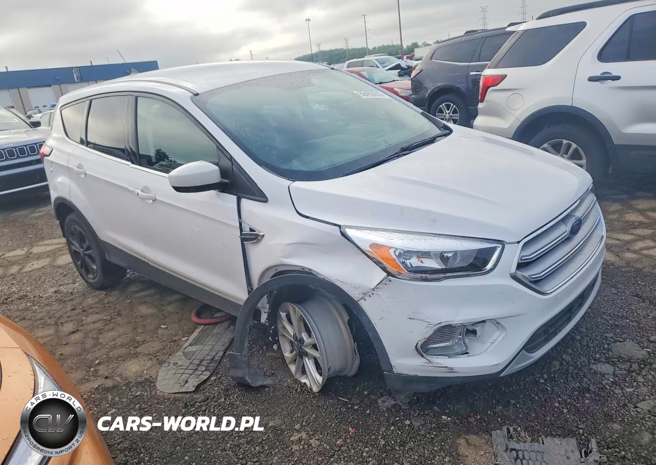 2019 Ford Escape Se VIN:1FMCU9GDXKUB24704 - 4