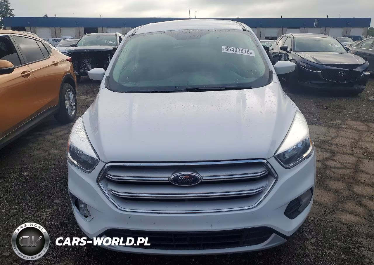 2019 Ford Escape Se VIN:1FMCU9GDXKUB24704 - 5