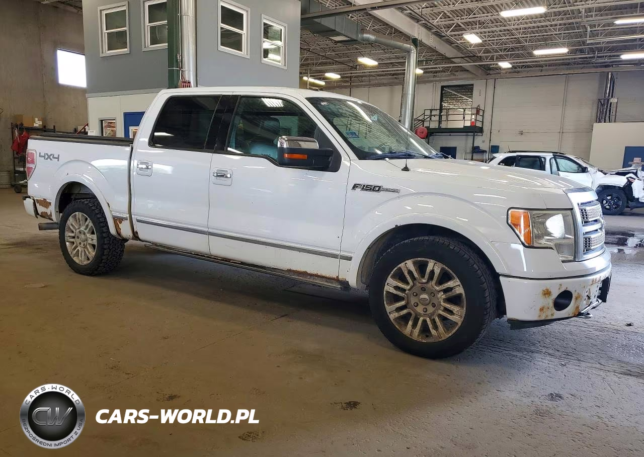 2009 Ford F150 Supercrew VIN:1FTPW14VX9FB41855 - 4