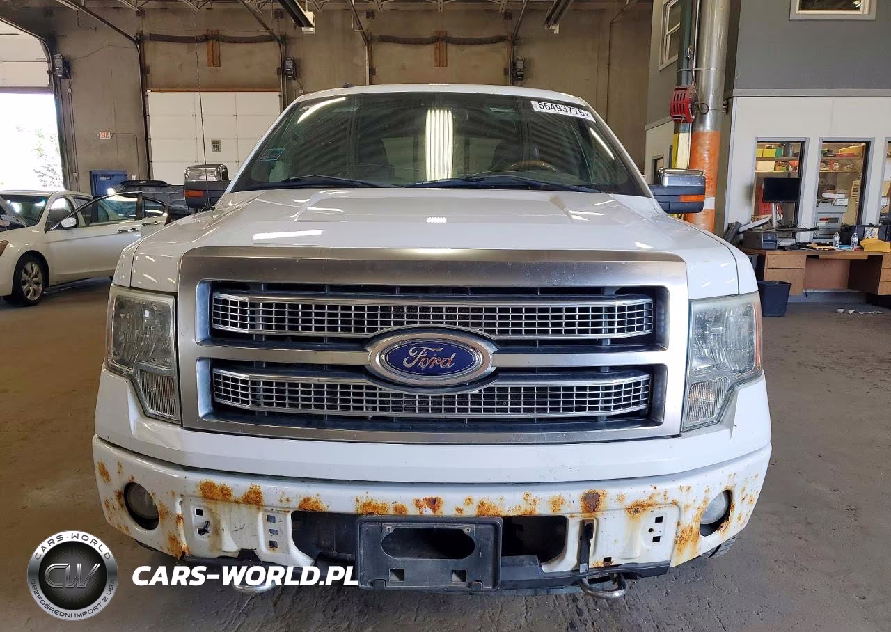 2009 Ford F150 Supercrew VIN:1FTPW14VX9FB41855 - 5