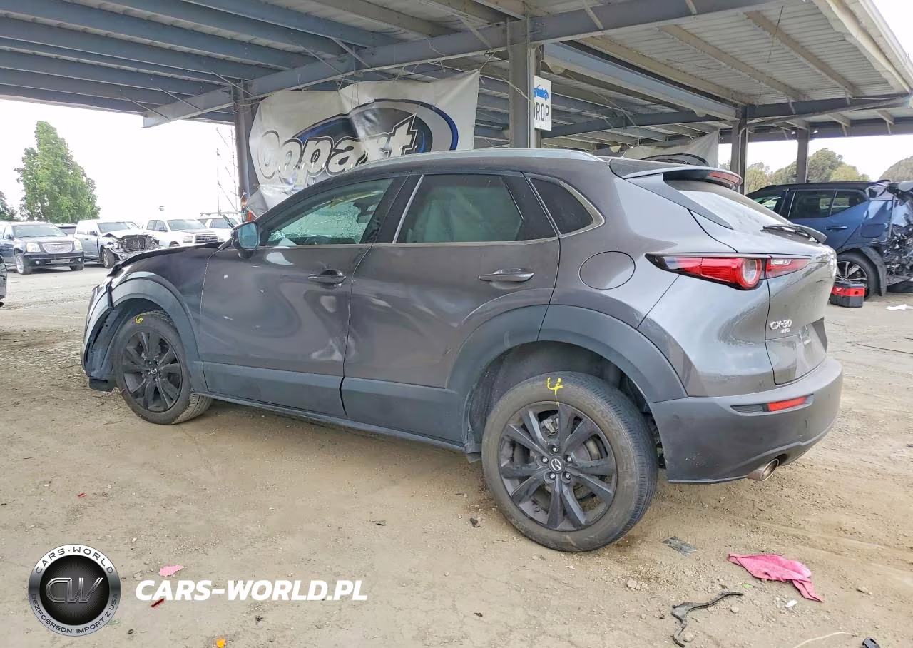 2021 Mazda Cx-30 Premium Plus VIN:3MVDMBEY7MM306422 - 2