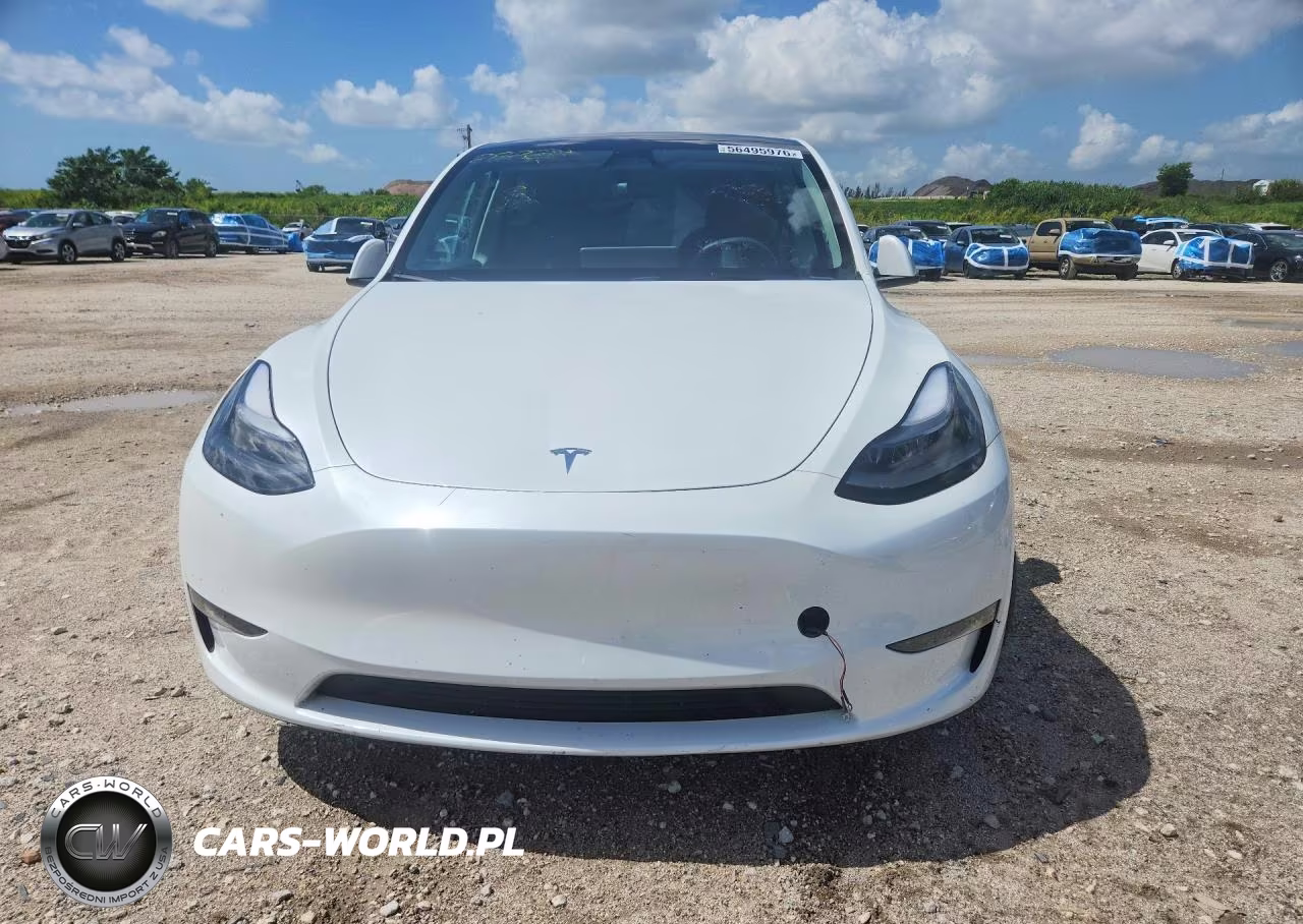 2024 Tesla Model Y VIN:7SAYGDEE0RA246992 - 5
