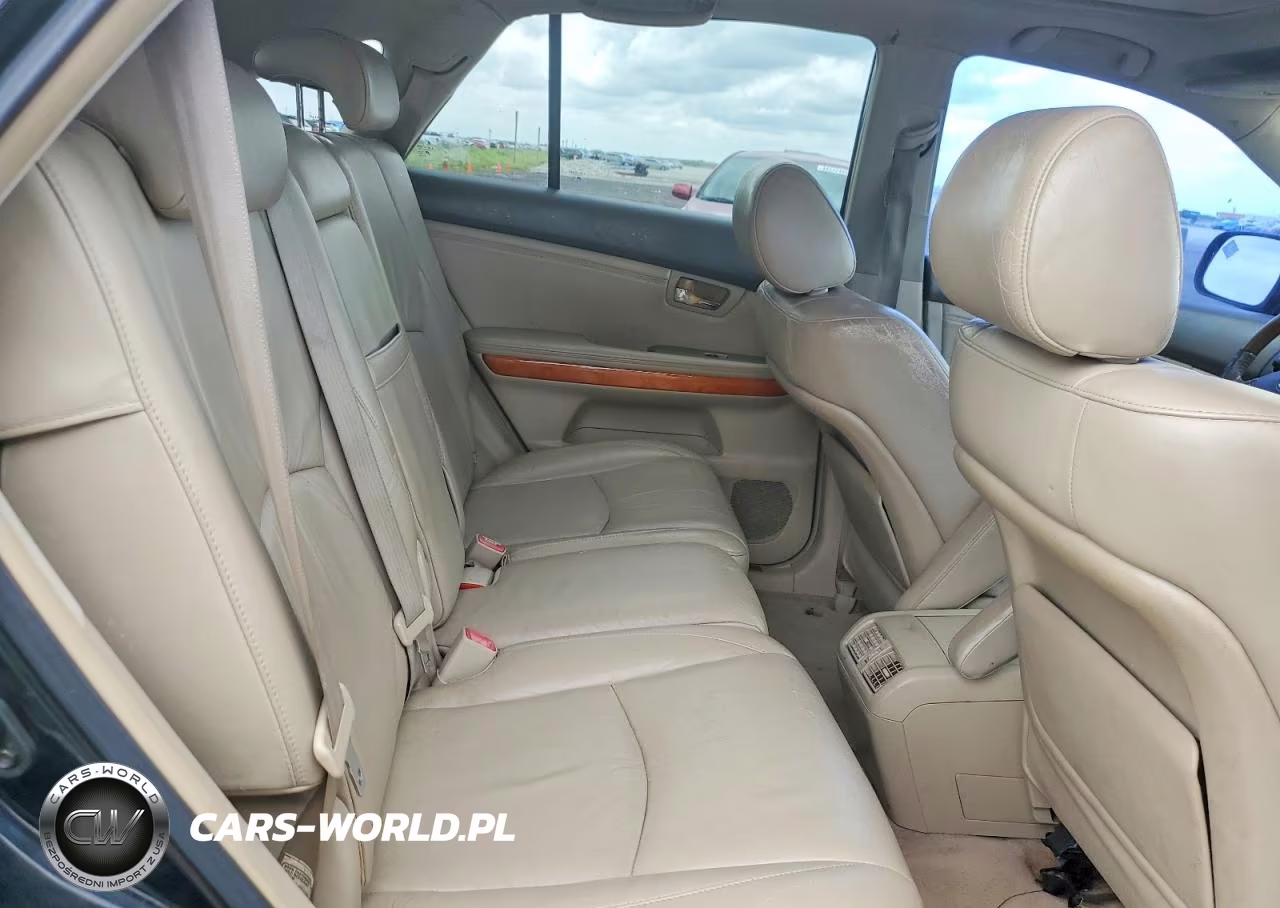 2004 Lexus Rx 330 VIN:2T2GA31U64C012319 - 10