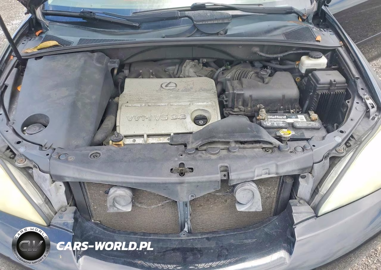 2004 Lexus Rx 330 VIN:2T2GA31U64C012319 - 11