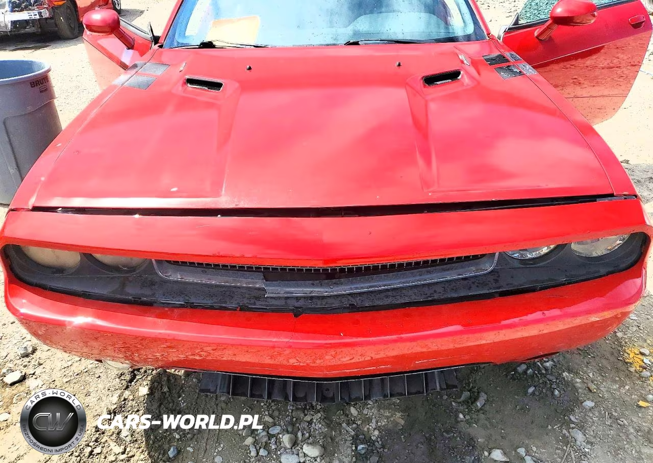 2013 Dodge Challenger R VIN:2C3CDYBT9DH594150 - 11