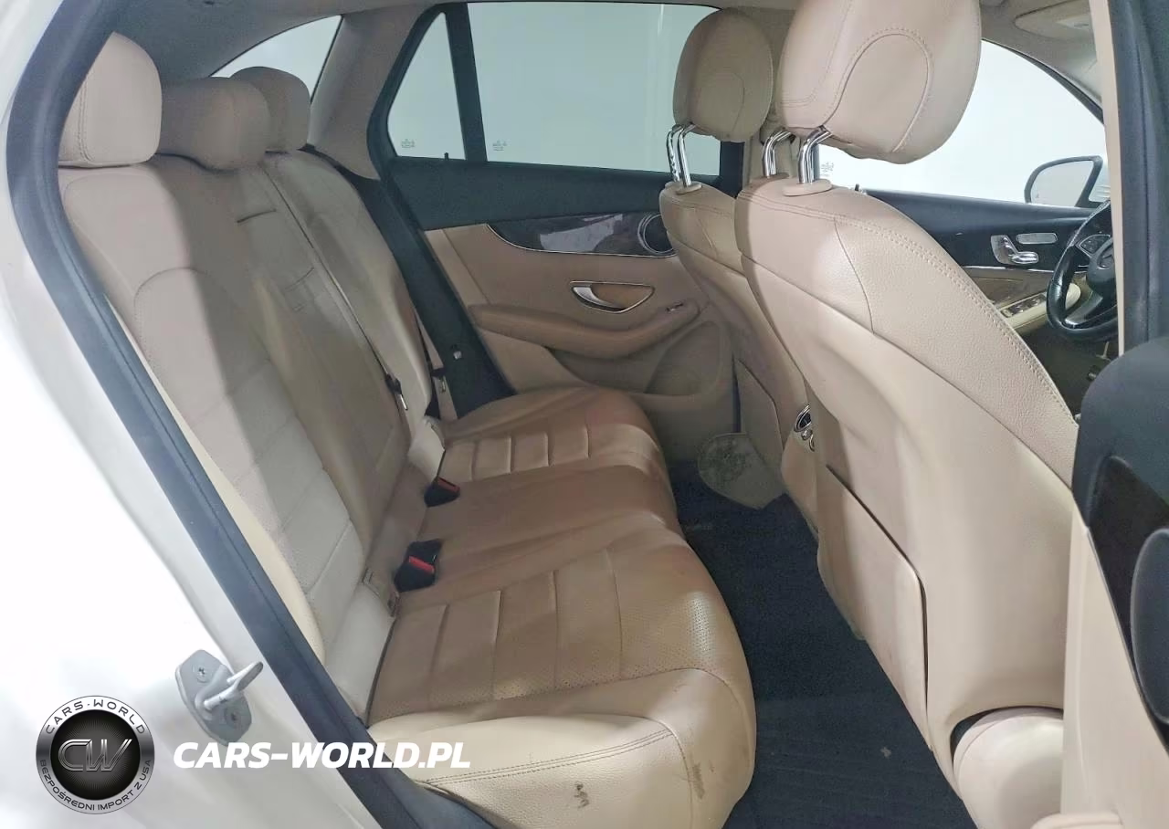 2016 Mercedes-Benz Glc 300 VIN:WDC0G4JB1GF059482 - 10