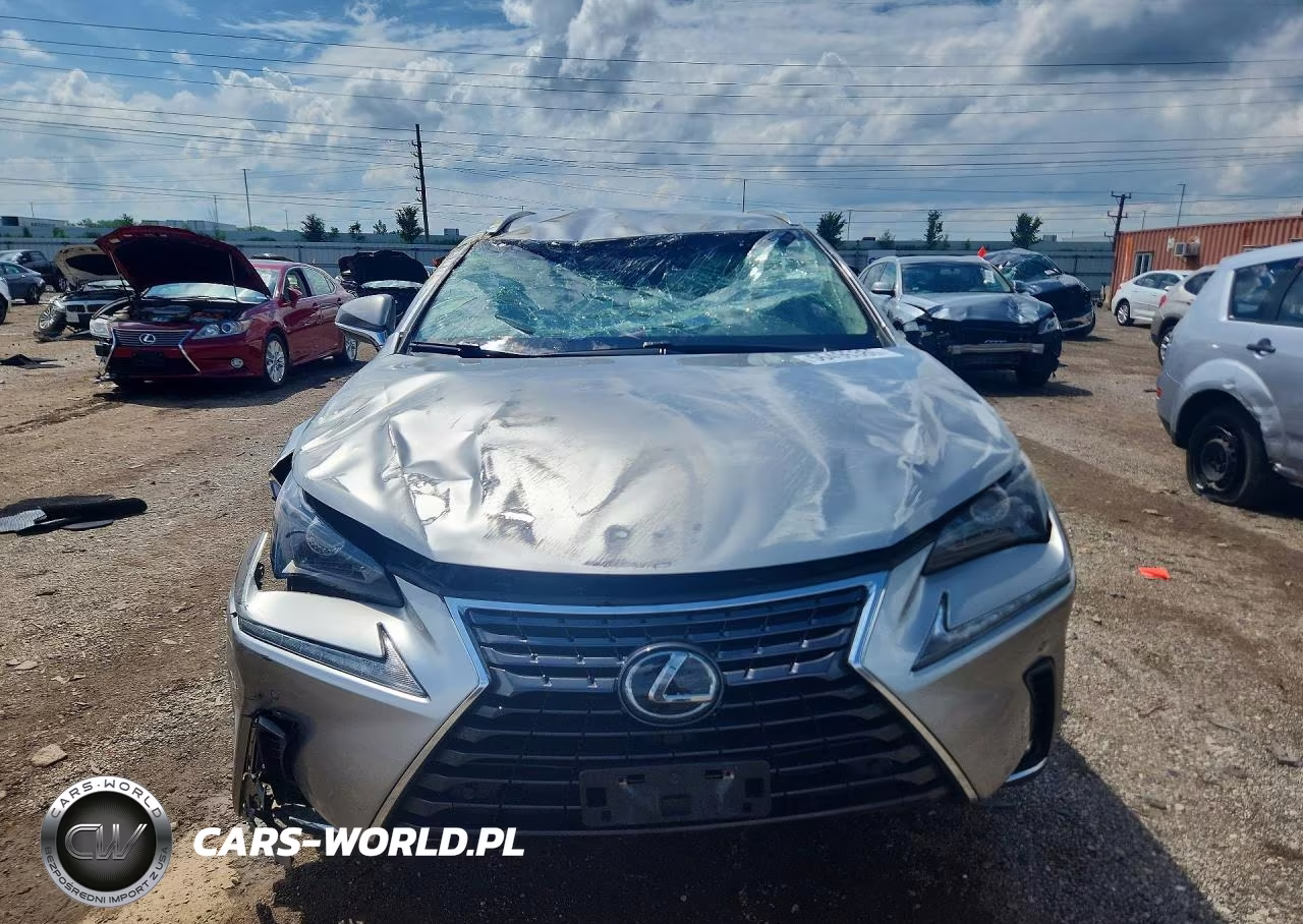 2019 Lexus Nx 300 Base VIN:JTJBARBZ7K2196559 - 5